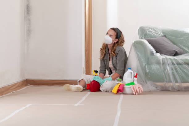 Reliable Black Mold Removal contractor in Church Hill, PA by WQB Mold Removal